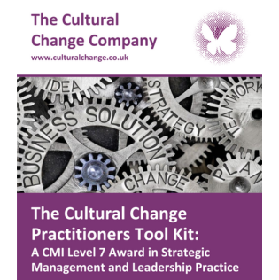 The Cultural Change Practitioners Tool Kit - Click on the image to know more